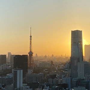 Tokyo Skyline for Japan Guide