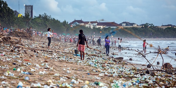 earth day 2024 article impact of plastic waste