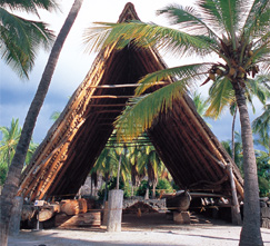 puukohola-heiau-historic-site