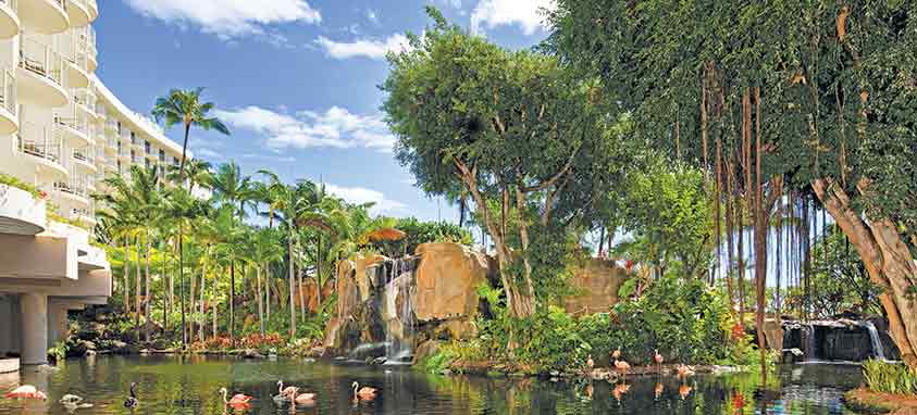 westin-maui-hobbiton