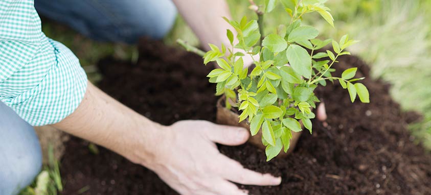 5 Actions that Help the Environment | Smart Meetings