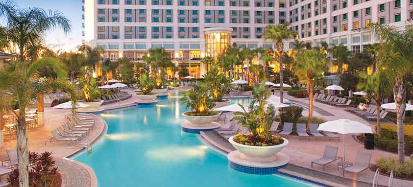 hilton-orlando-pool new and renovated hotel properties