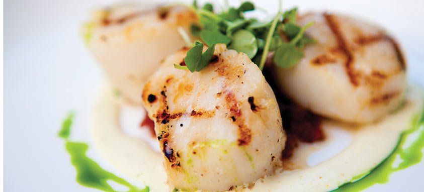 scallops