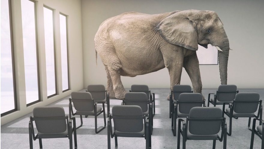 The Elephant in the Zoom Room: Paid vs. Free Virtual Events | SM.com