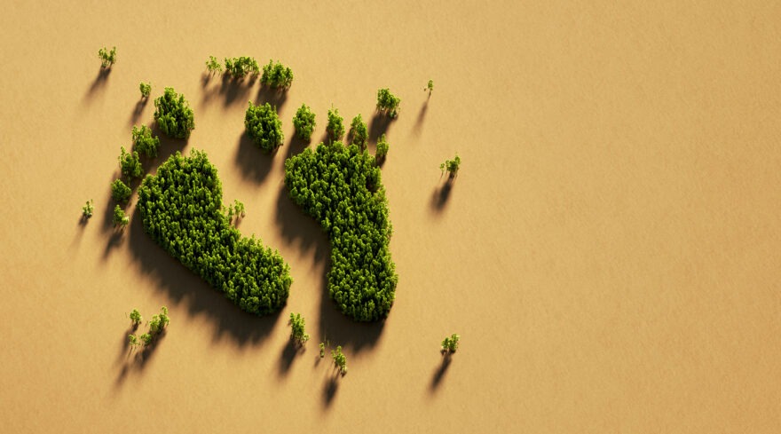 A 3D render of trees growing in the desert in the pattern of human footprints.