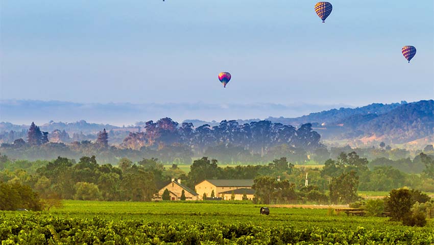 A series of air balloons above a field in California
