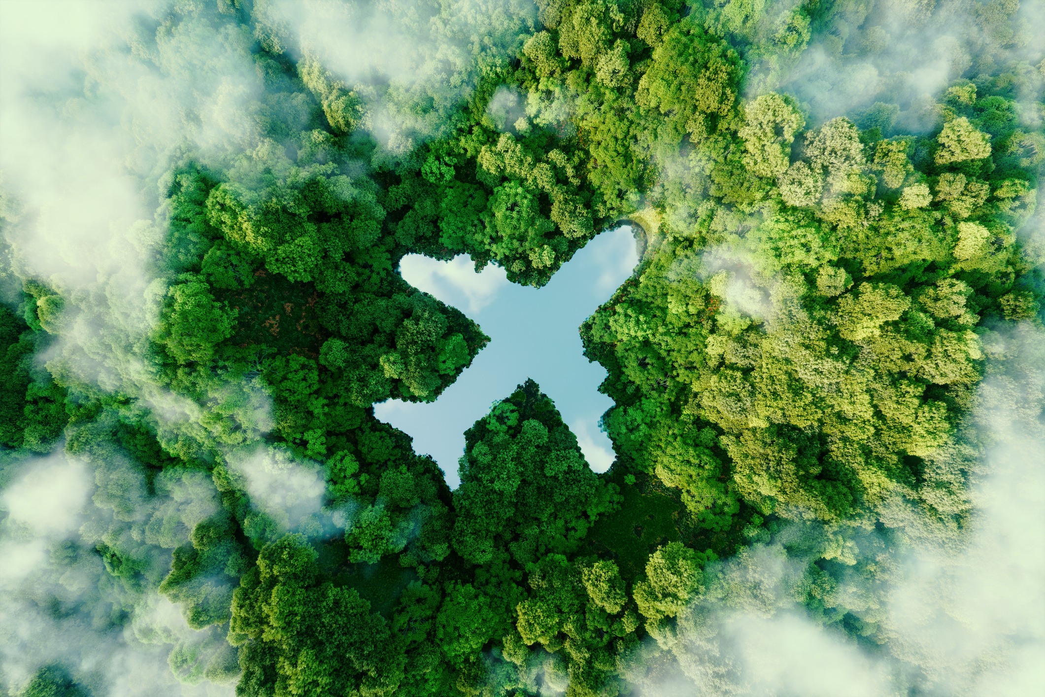 An airplane-shaped lake in the middle of a forest. Sustainable travel helps limit carbon emissions and waste.