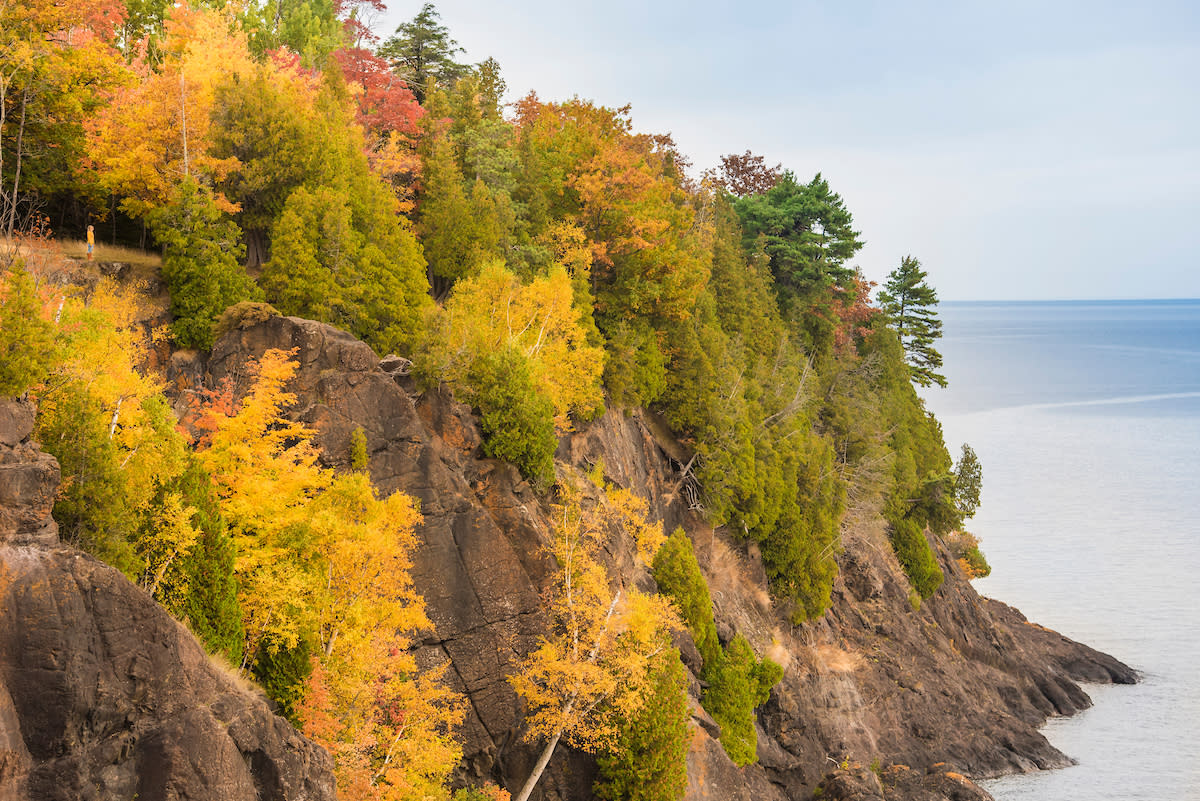 The cliff face of Presque Isle Park. It's covered in fall trees and next to Lake Superior.