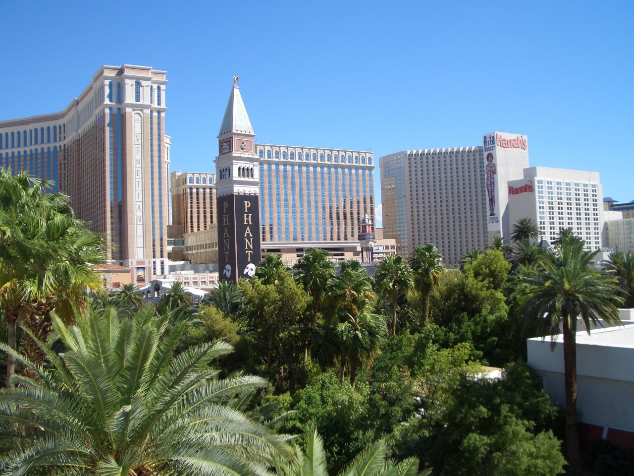 the venetian resort