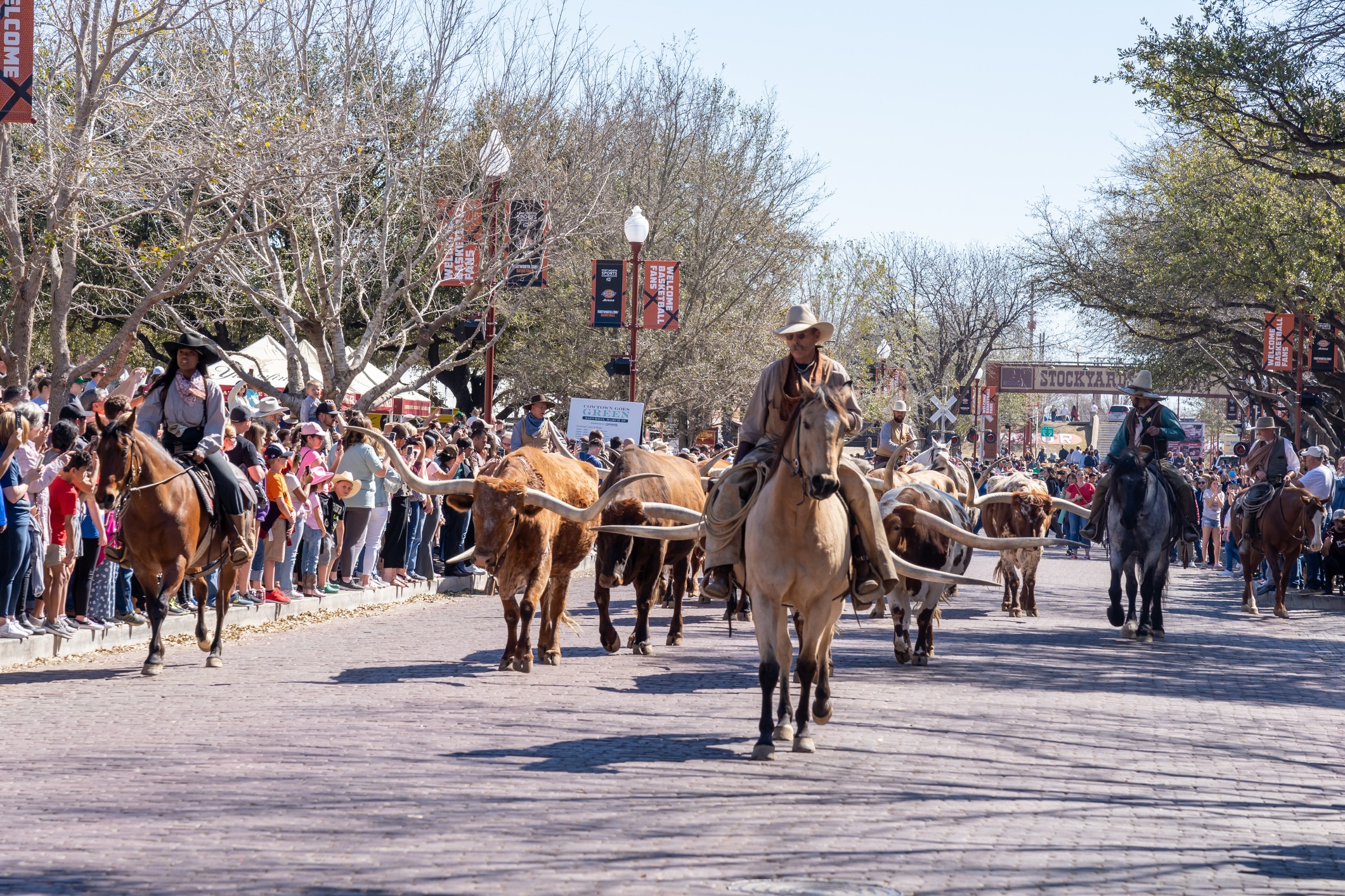Fort Worth Stockyards Cattle Drive