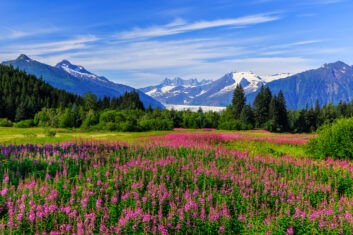 Picture of Alaska