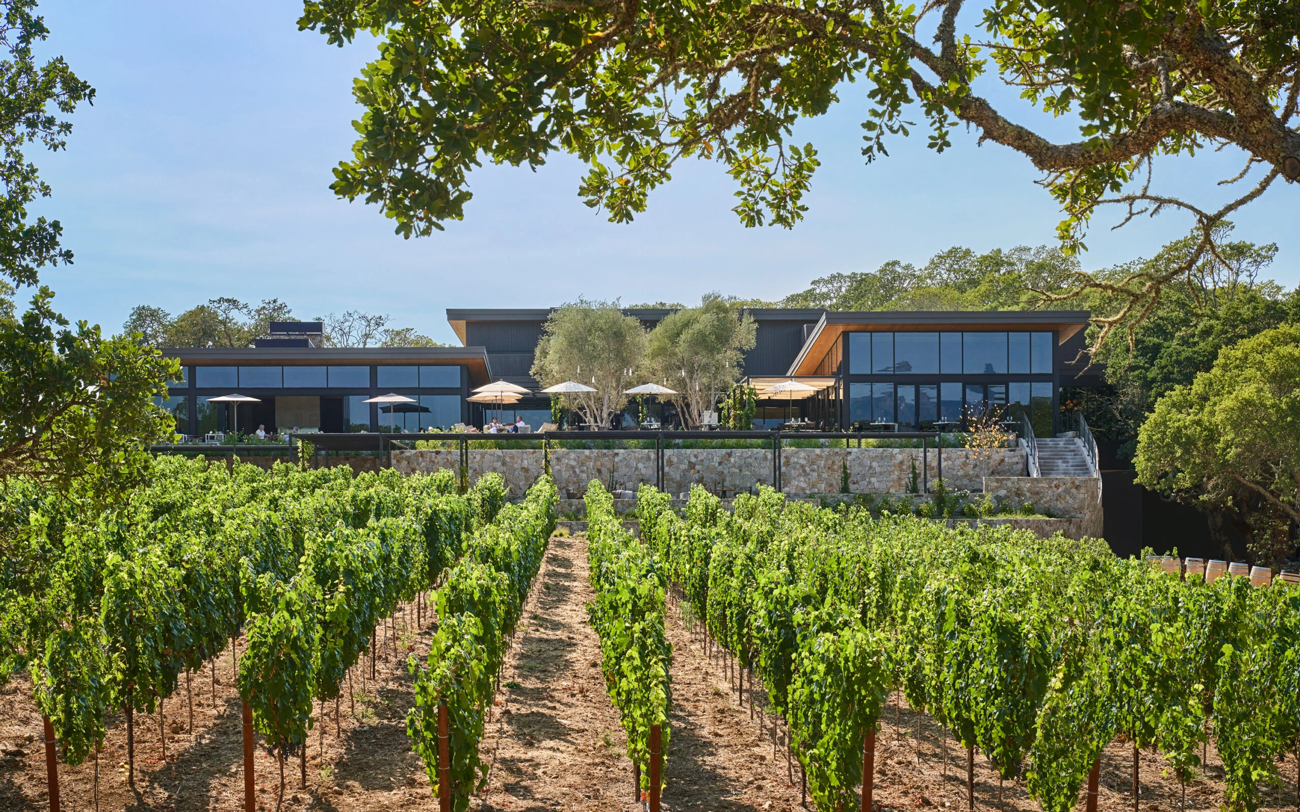 orchard at Montage Healdsburg