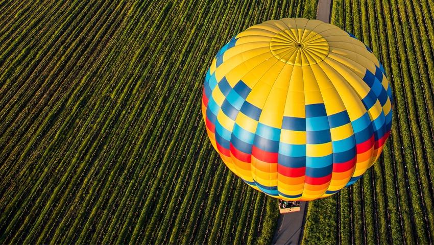 Air Balloon ride over Napa grape orchard