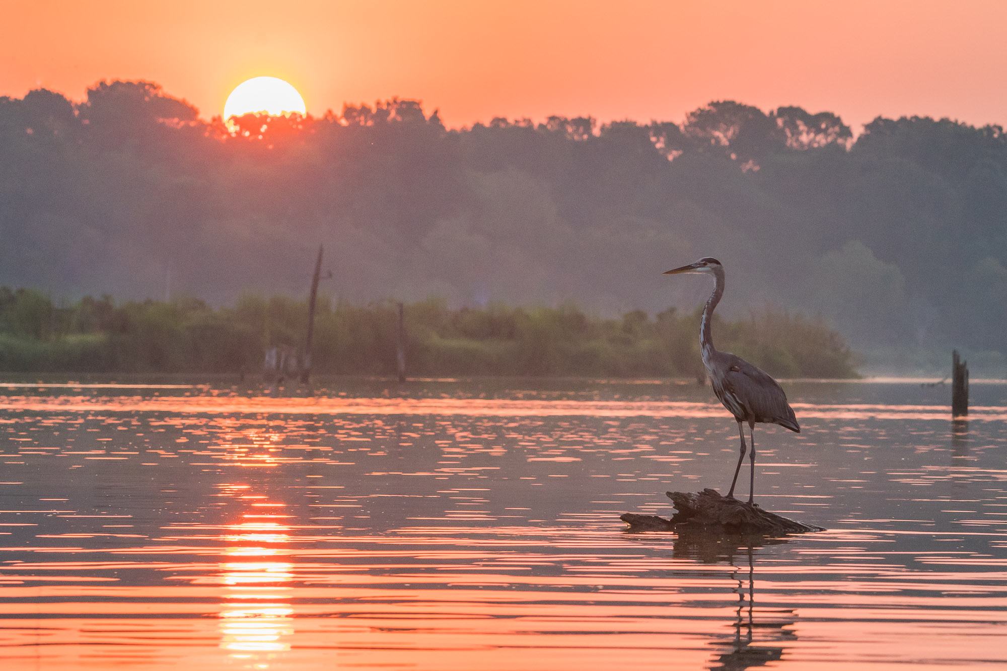 Armand BayouNature Center