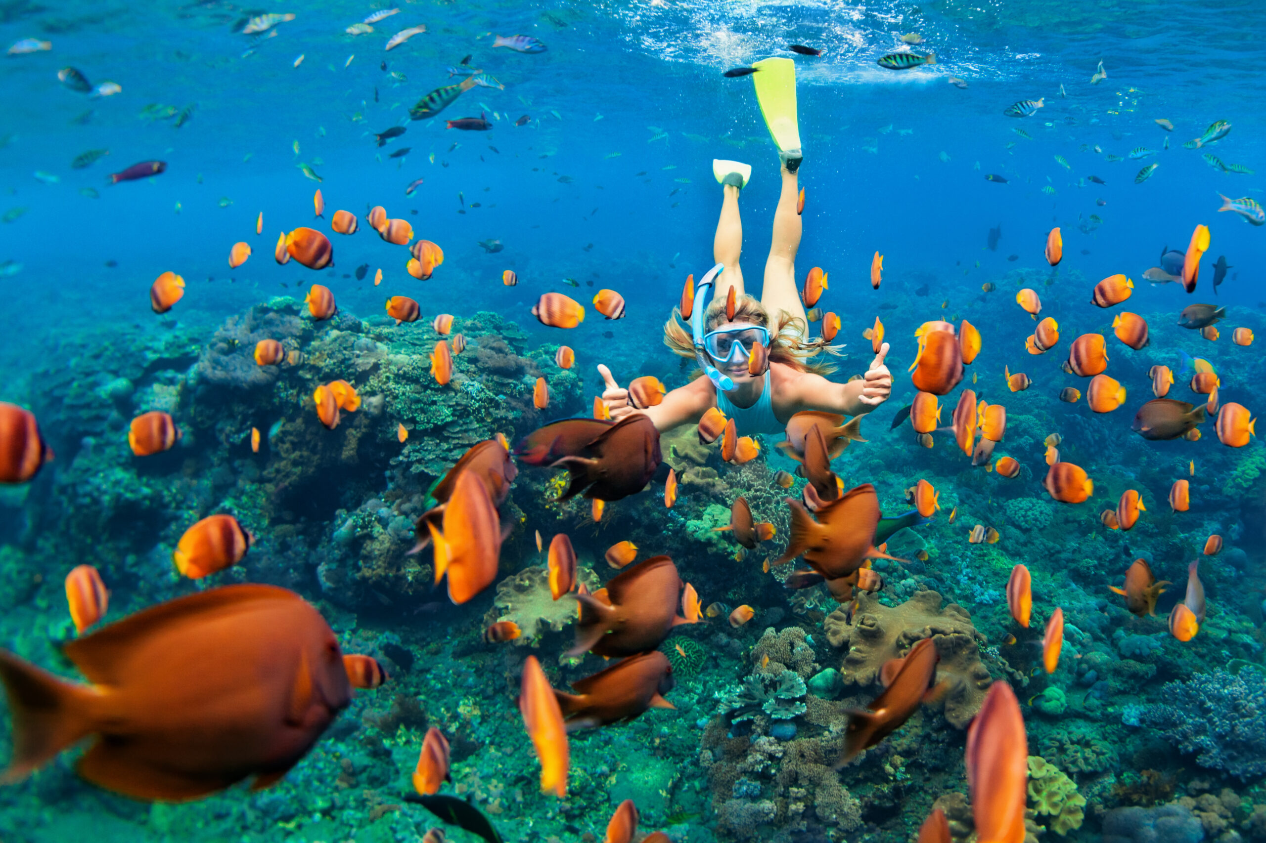 girl snorkeling among fish in the bahamas