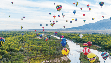 various colorful air balloons floating in sky