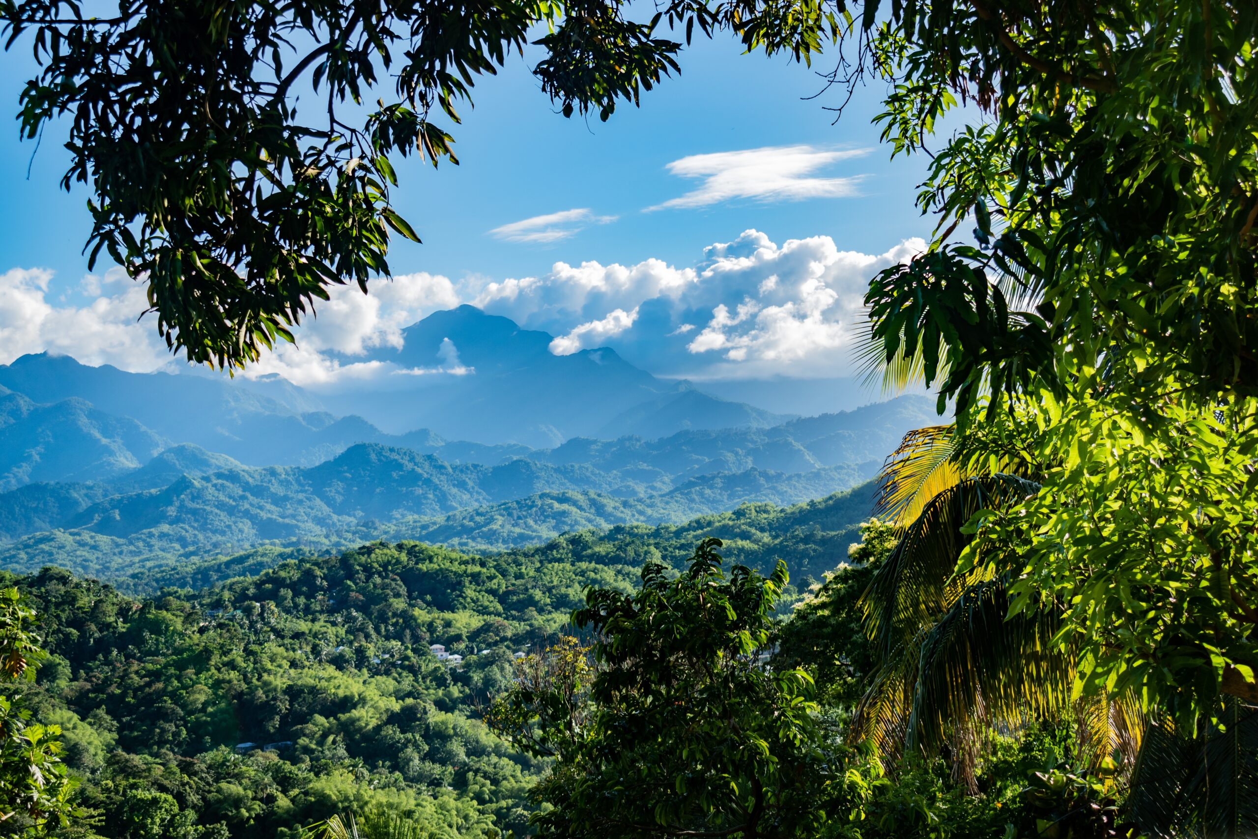 wide shot of mountains in Blue Mountains, Jamaica jamaica