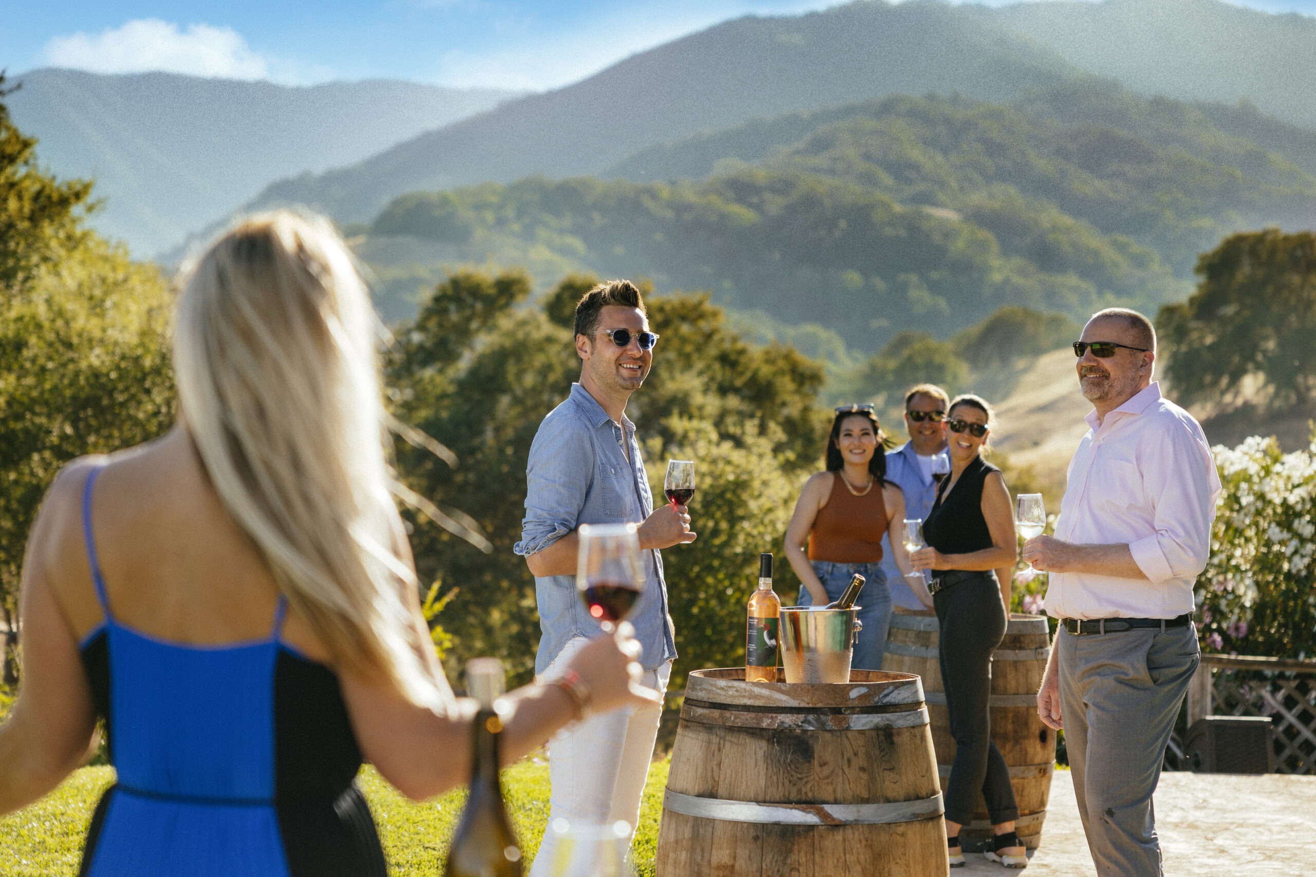 four people drinking wine in vineyard