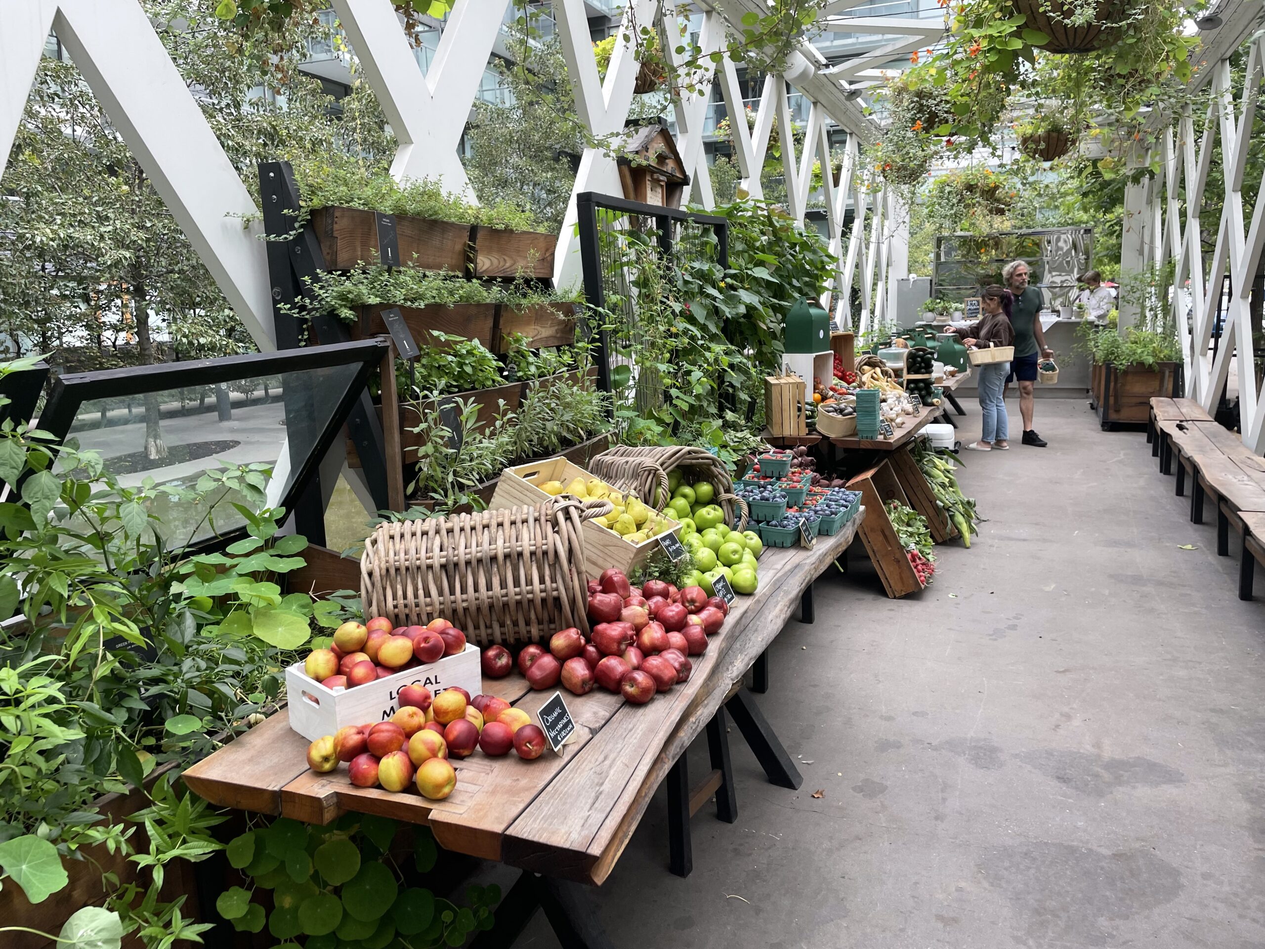 fruits and vegetable stands