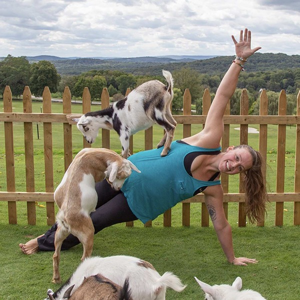 Goat yoga for mental health
