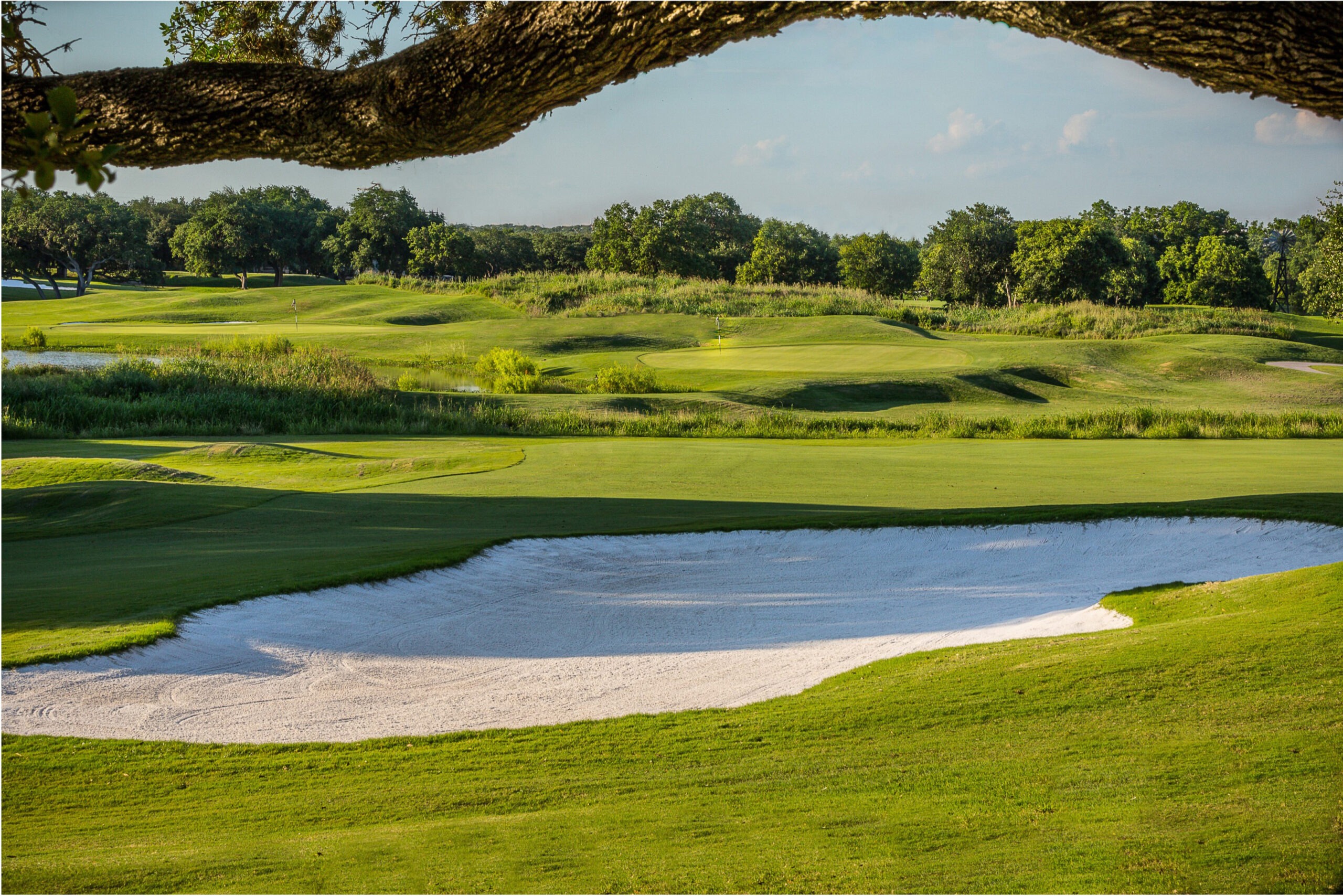 part of the golf course at Hyatt Regency Hill Country Resort and spa, with trees in the background and one tree branch in the top foreground