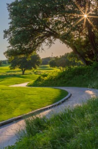 part of the golf course at Hyatt Regency Hill Country Resort & Spa with sunlight shining through the leaves of a tree