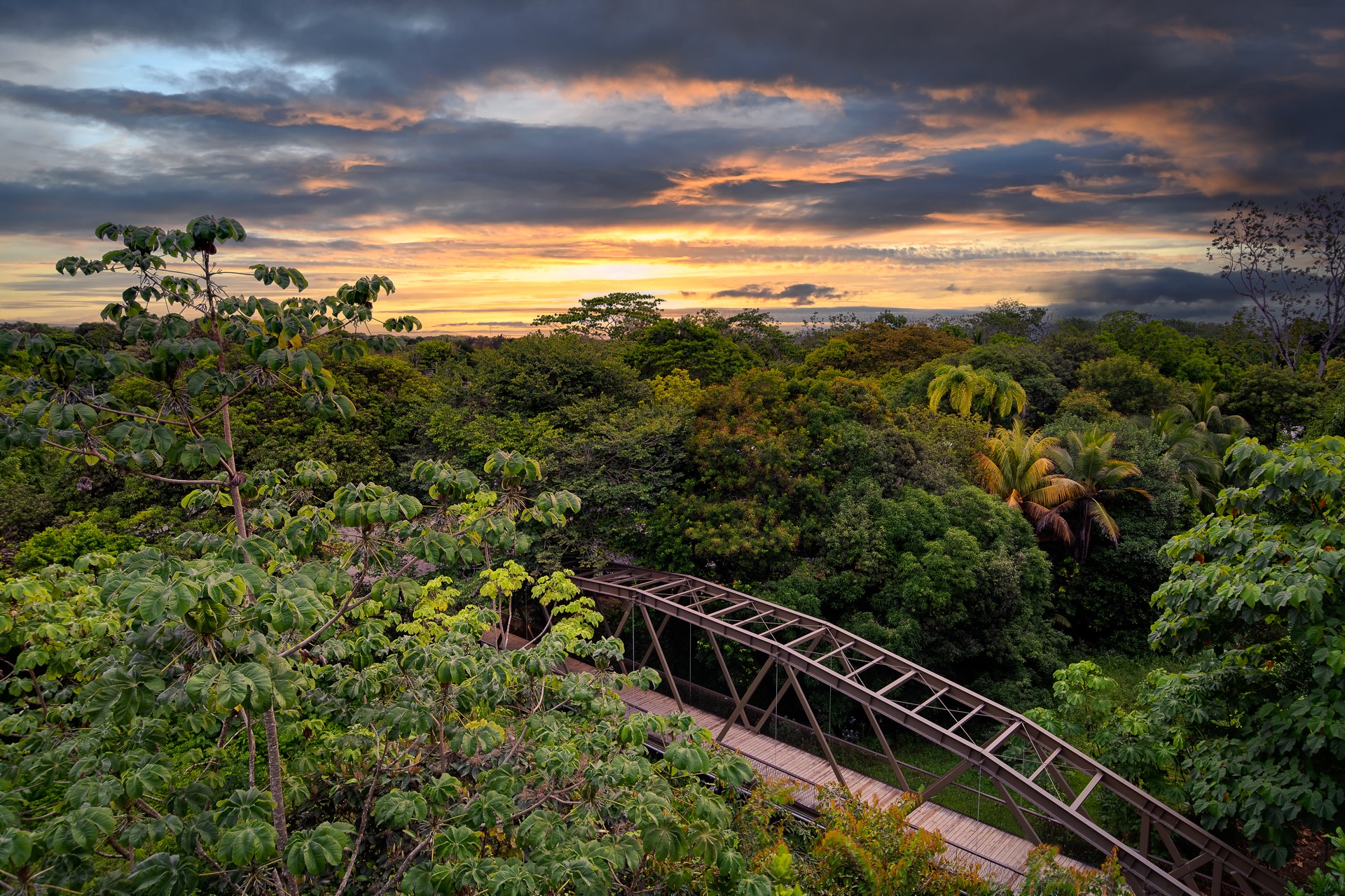 off the beaten path, Costa Rica, Bridge, Rainforest