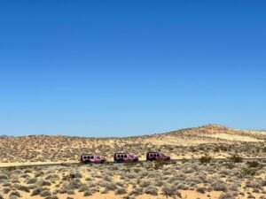 pink jeeps in Valley of Fire