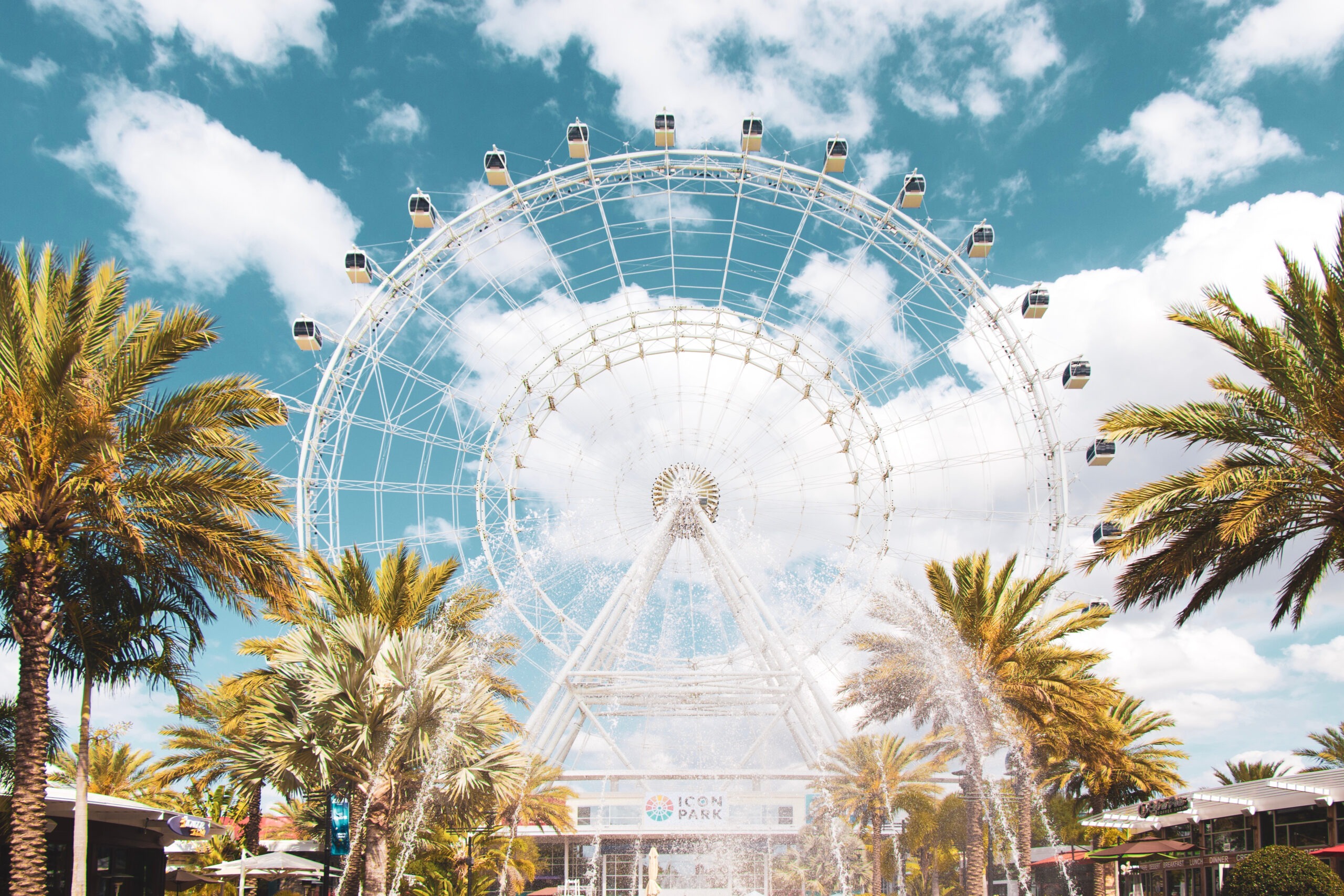 ground view of ferris wheel