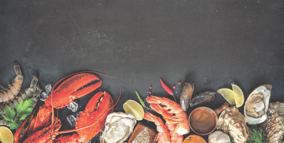 seafood on grey background