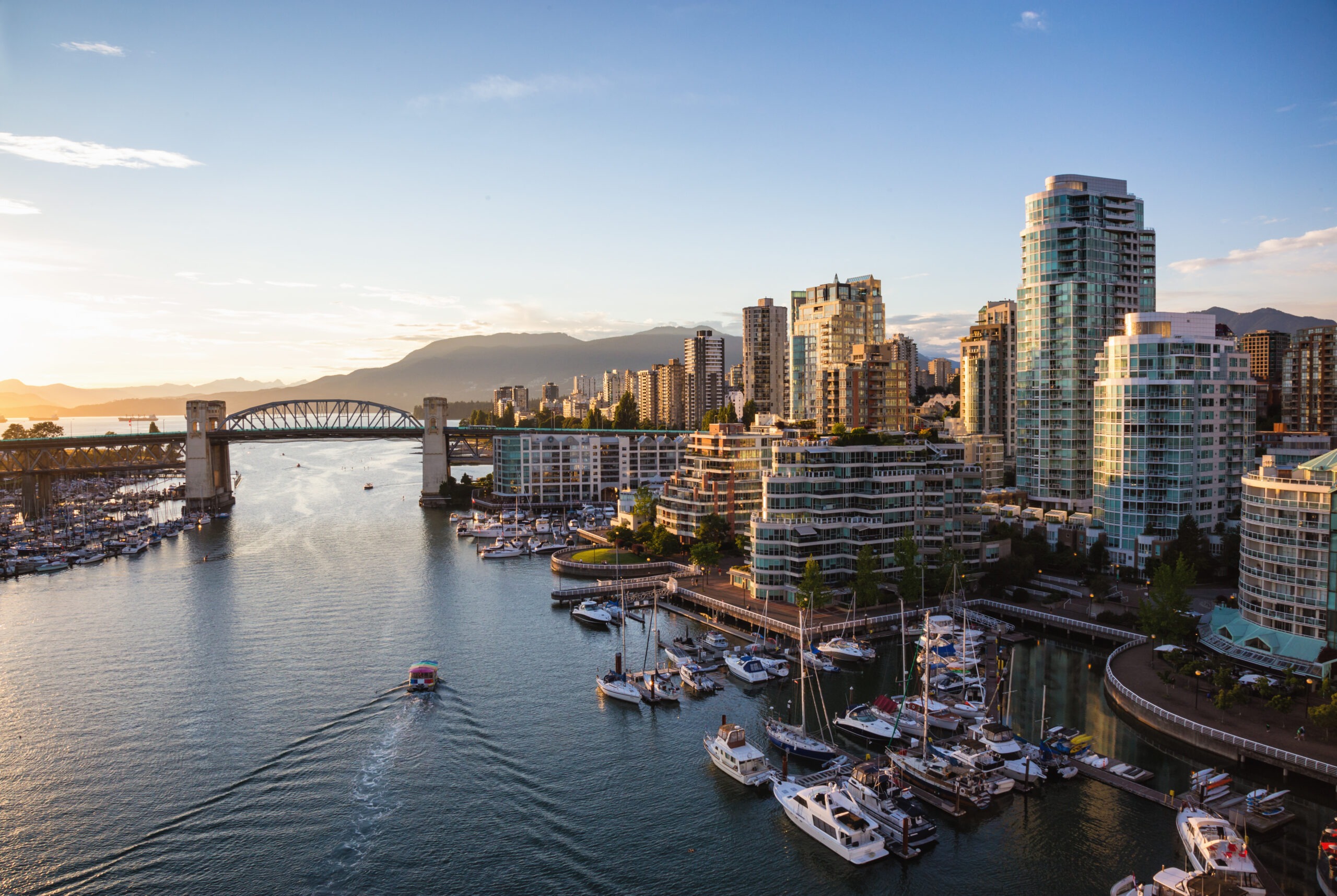 aerial shot of marina