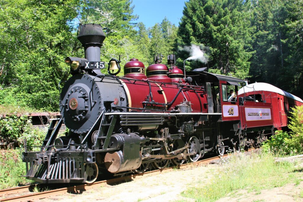 Skunk Train in the Redwoods of Northern California