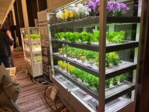 plants in glass walled cabinet