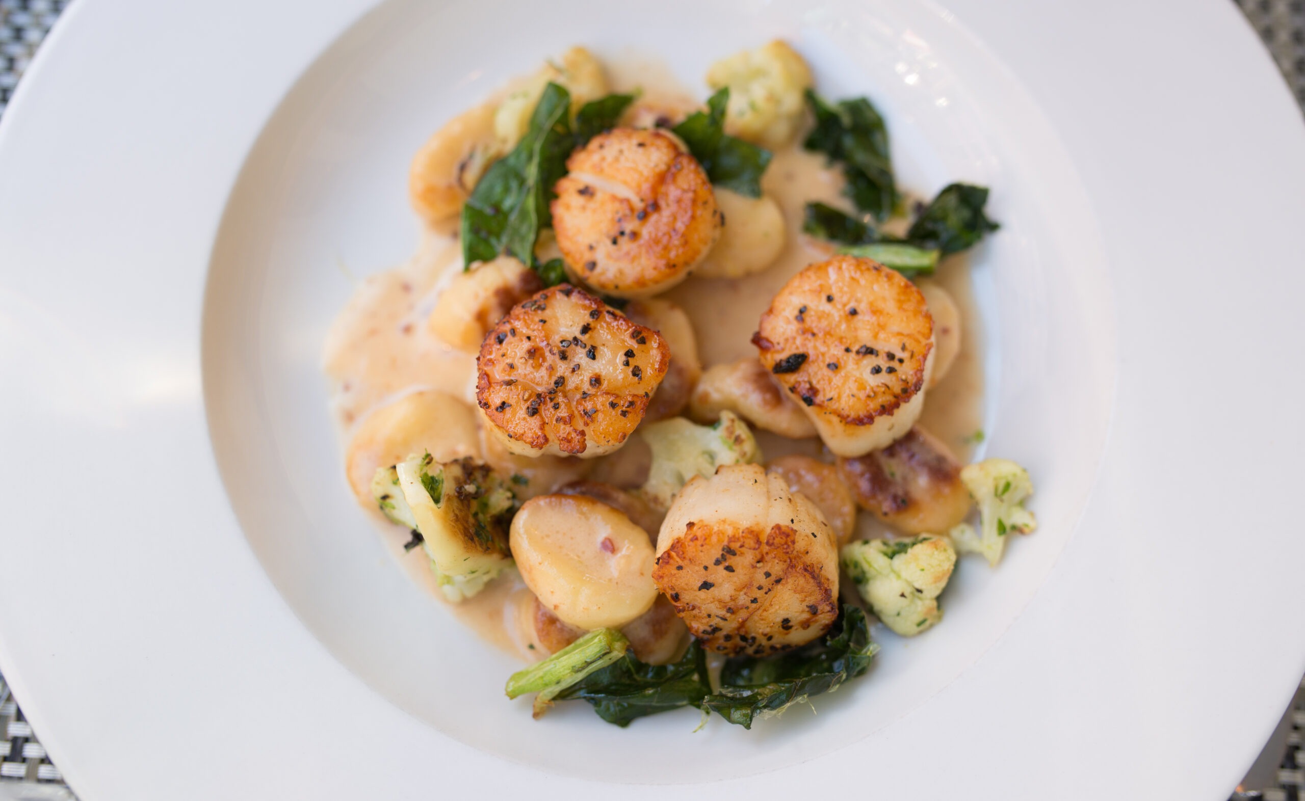 scallops on white plate
