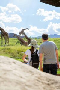 Visitors at Giraffe Savanna at The Living Desert Zoo and Gardens