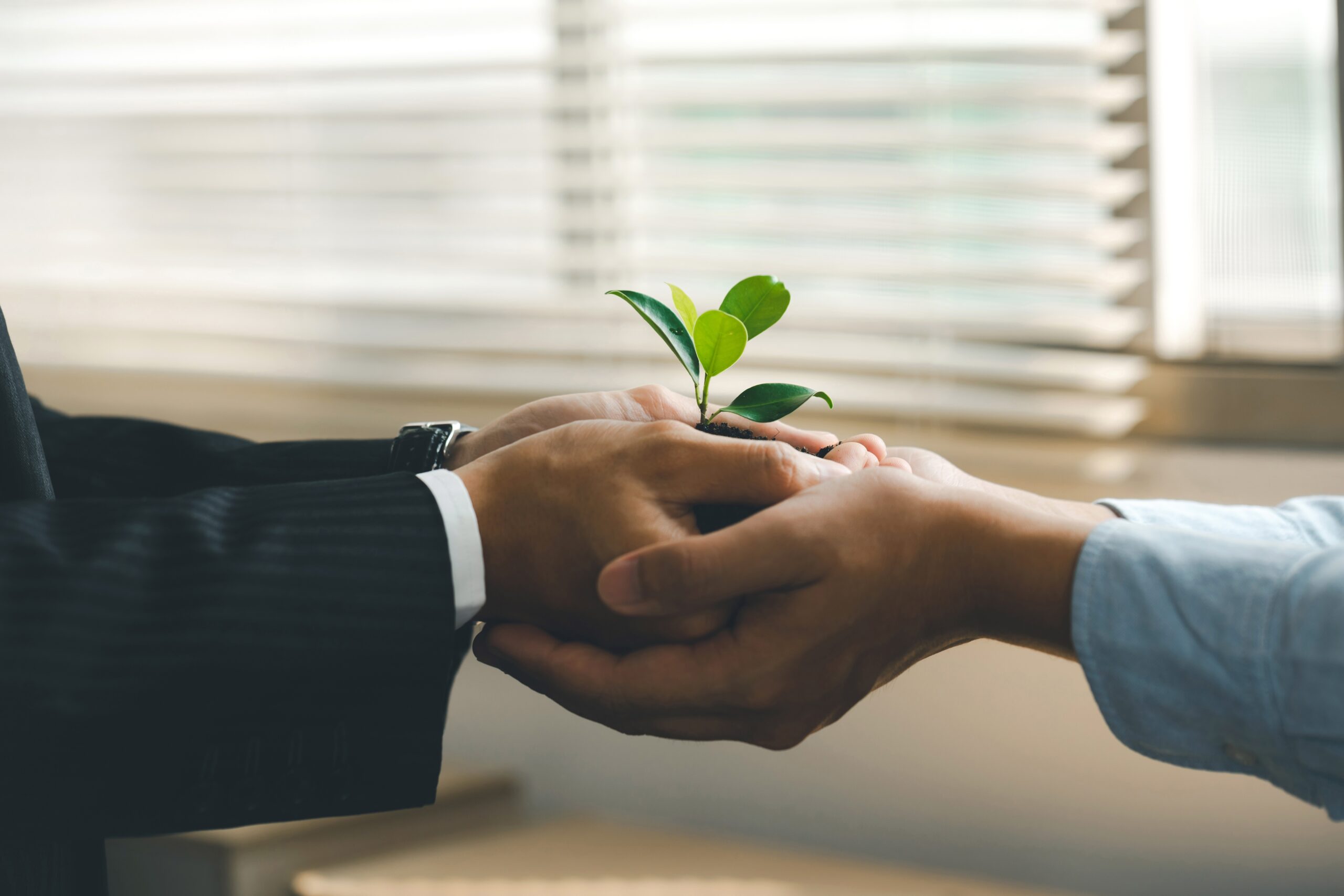 hands holding green plants together