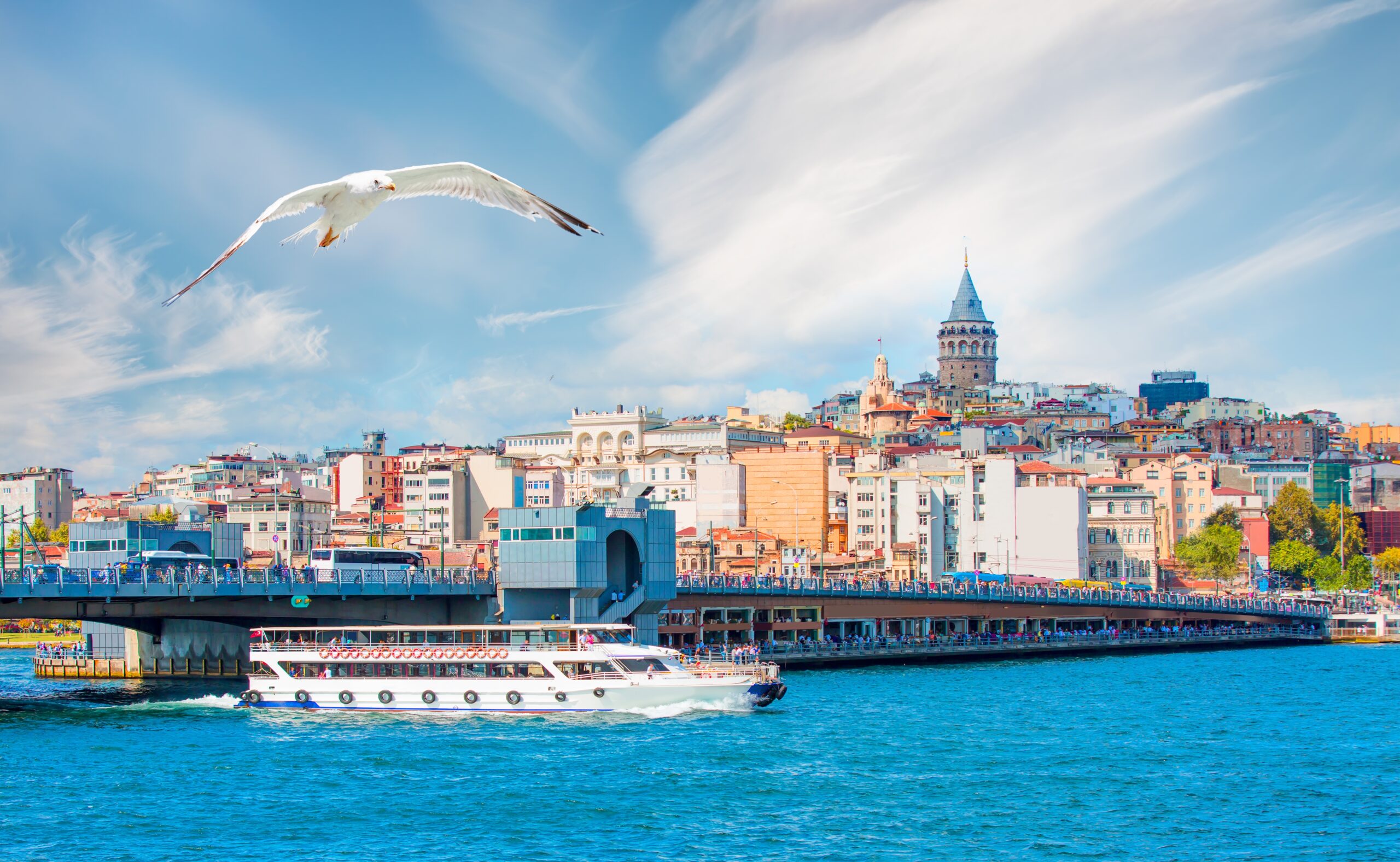 city skyline and sea