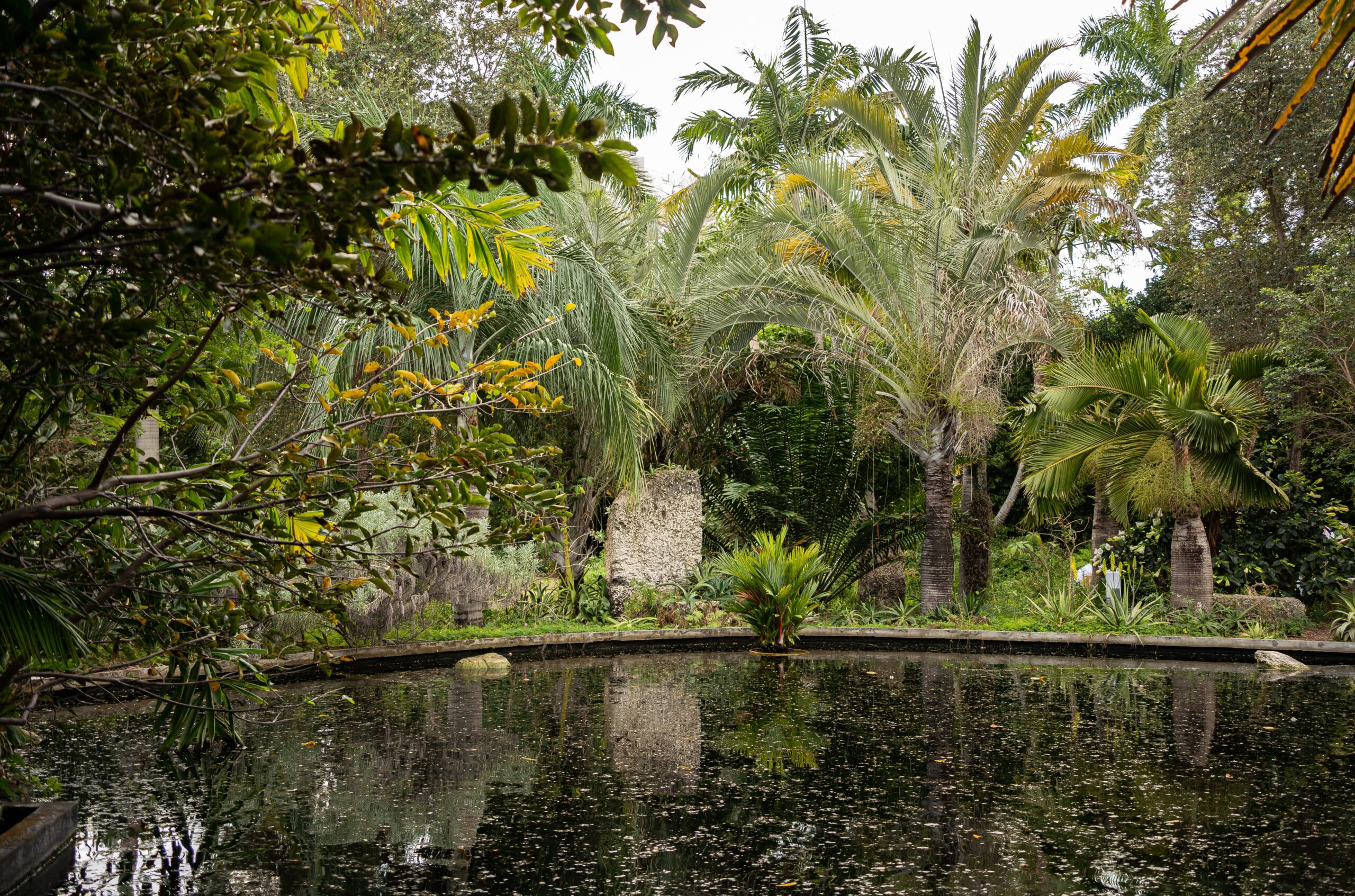 Miami Beach Botanical Garden