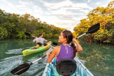 Kayakers touring the river of Islamorada, Florida