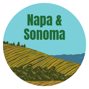 illustration of vineyard below words in green "Napa and Sonoma"