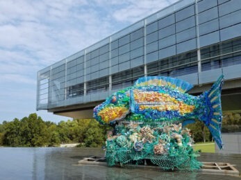 Fish sculpture at Clinton Presidential Library and Museum