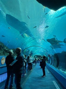 People walking around Georgia Aquarium