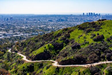 Green Los Angeles hills