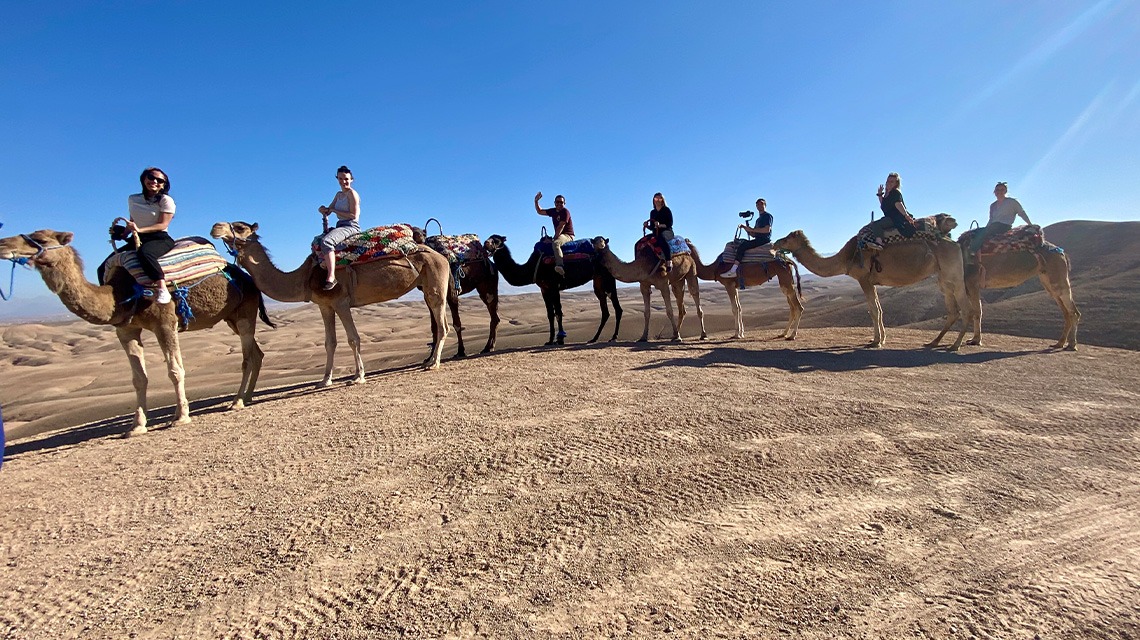 People riding camels in Morocco