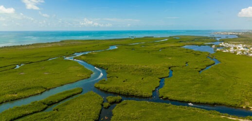 Aerial shot of John Pennekamp Coral Reef State Park